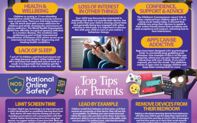 Online Safety Guides for Parents