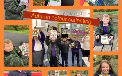 Autumn Colour Hunt!