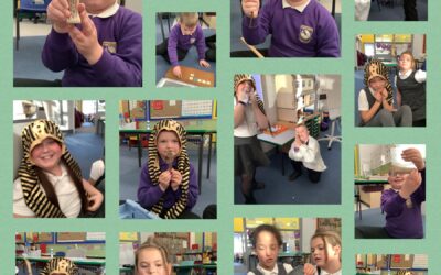 Ancient Egyptian artefacts- what do they tell us about life in Ancient Egypt?