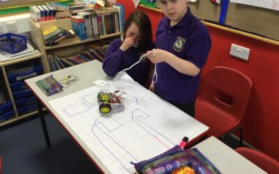 The results of our 5B Crumble Project!
