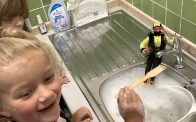 What is in the kitchen sink?