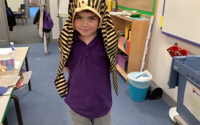 What can artefacts teach me about the Egyptians?