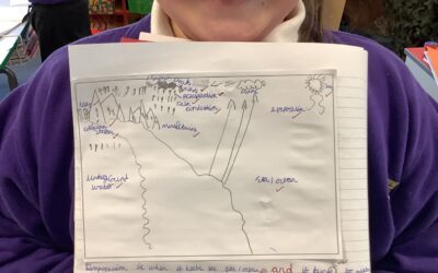 Water Cycle Whizzes!