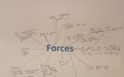 Mind Mapping in 5B!