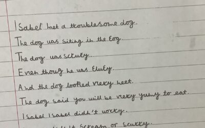 What is narrative poetry?