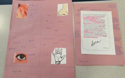 Using our Senses