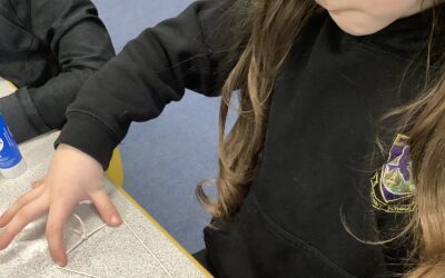 2D and 3D shapes
