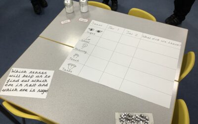 Sorting with Senses