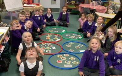 How can we compare a variety of common animals?