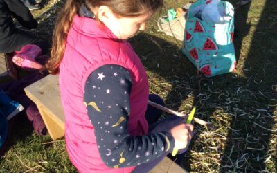 Fun at Forest School
