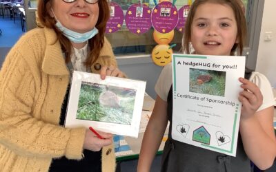 We have adopted a hedgehog!