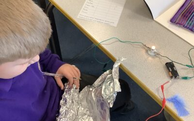 Which materials are conductors and which are insulators?