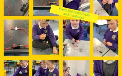 Electrical Conductors and Insulators