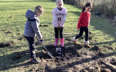 Resilience and determination at Forest school  3M and 7B