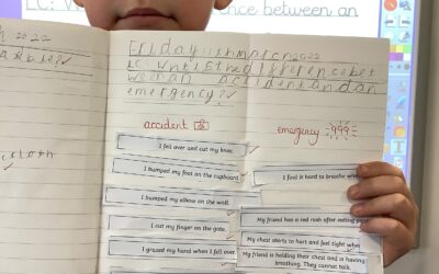 Life skills- is it an accident or an emergency?