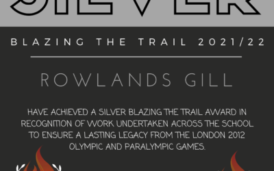 BRONZE AND SILVER AWARD BLAZING THE TRAIL