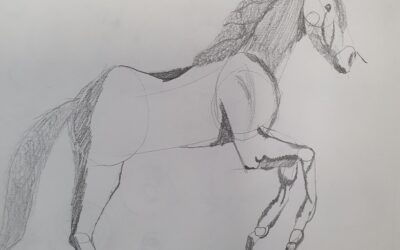 Drawing Animals