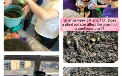Science week 3M and 7B