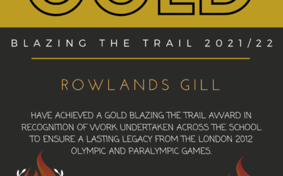 GOLD AWARD RECIEVED!