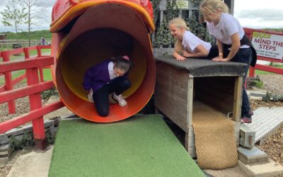 Year 6 Trip to Adventure Valley