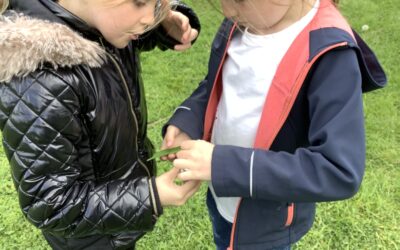 Forest School