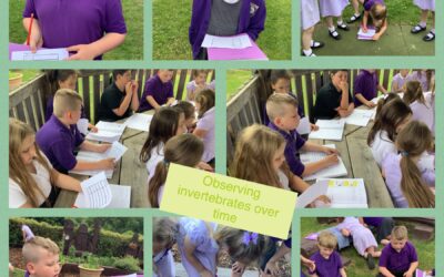 Are there more invertebrates in summer or winter?