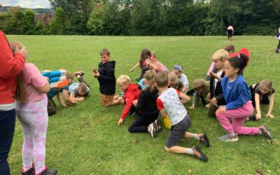3M and 7B’s Forest School