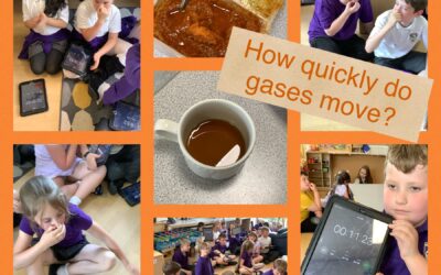 How do gases behave?