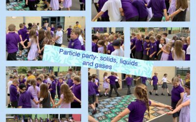 What are particles in solids, liquids and gases?