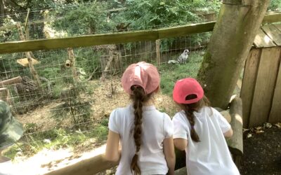 Our Zoo Trip!