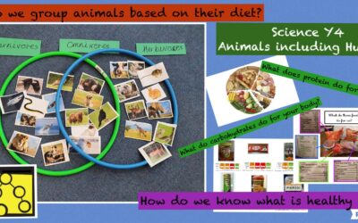 In Science, we investigated – What is nutrition?