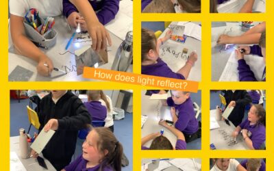 How does light reflect?