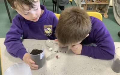 Planting seeds