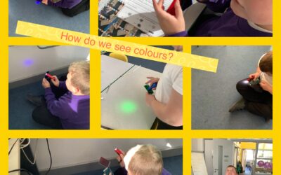 How do we see colours?