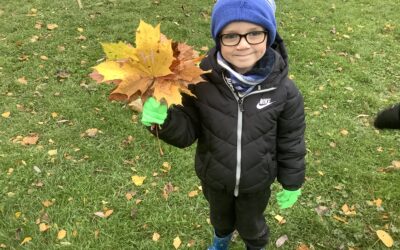 1M Forest School