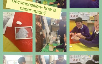 How is Paper Made?
