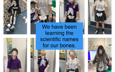 Bone, Bones, Bones!