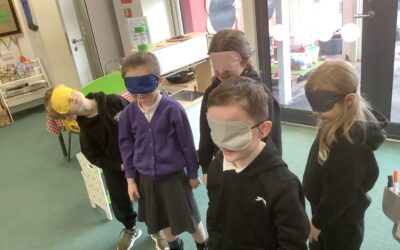 Helping the blind