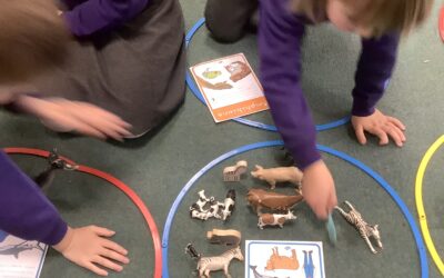 Sorting animals into groups