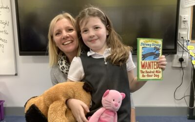 Mystery Reader 3M