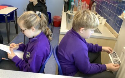 Y6 Vocabulary