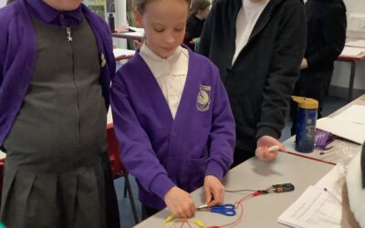 Electrical Conductors