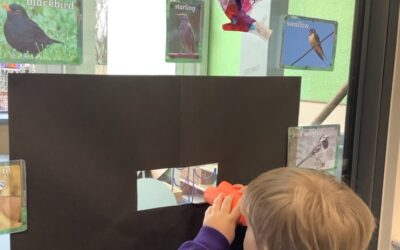 RSPB Bird Watching Week