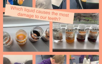Which liquid causes the most damage to your teeth?