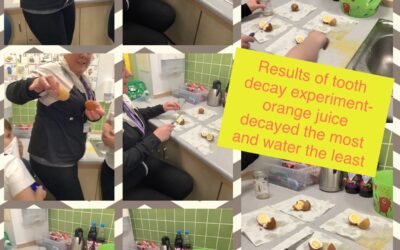 Results of our tooth decay experiment