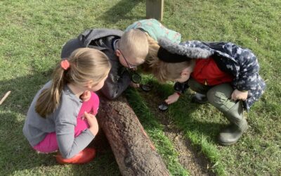Forest school