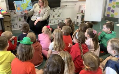 Mystery Reader