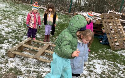 Frosty forest fun