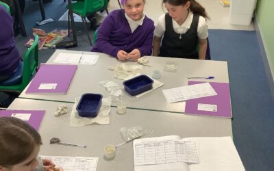 Science – Investigating rocks