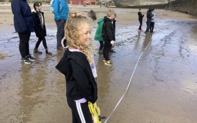 Year 3 Coast Study field trip